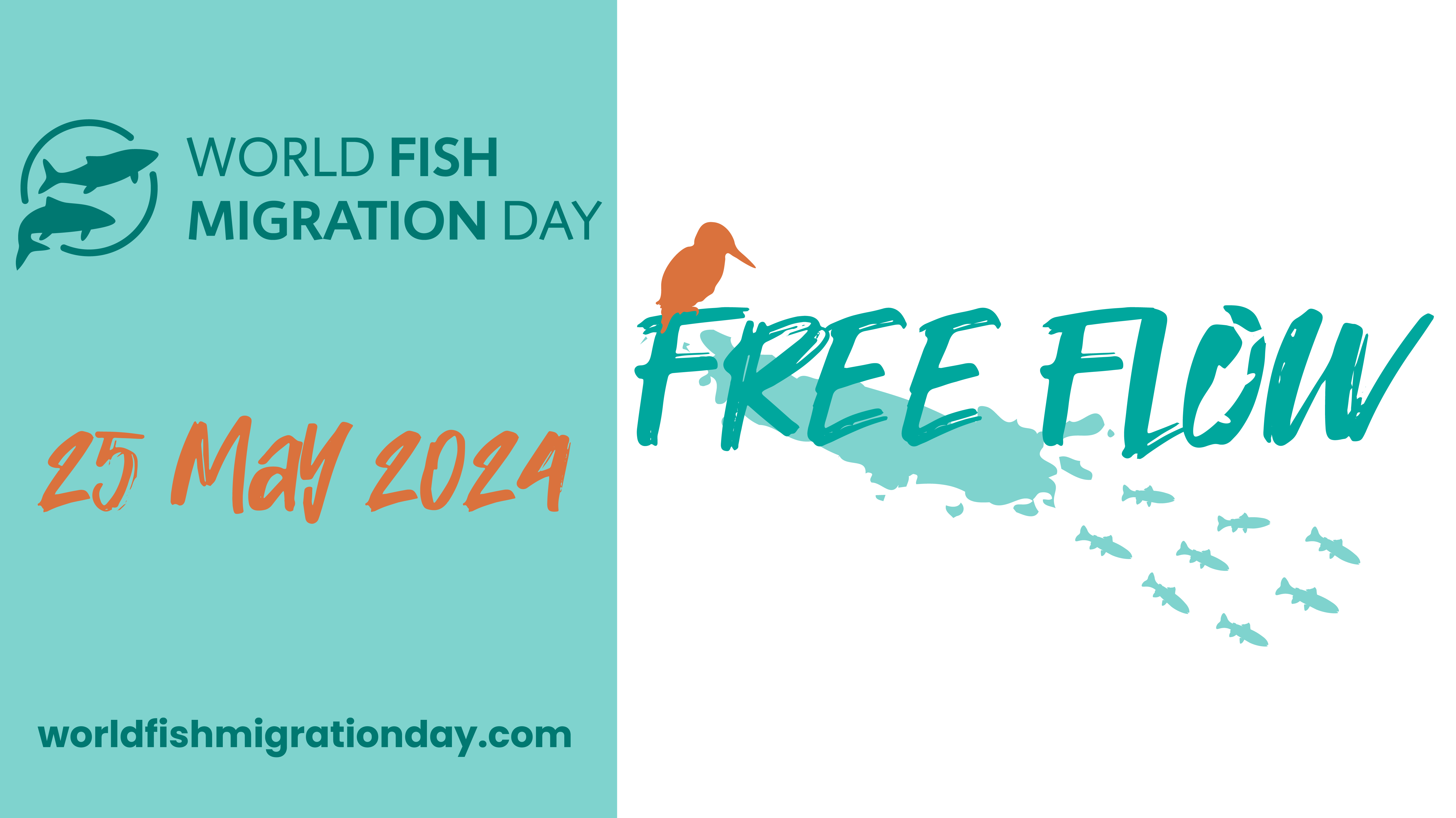Watch our film for World Fish Migration Day